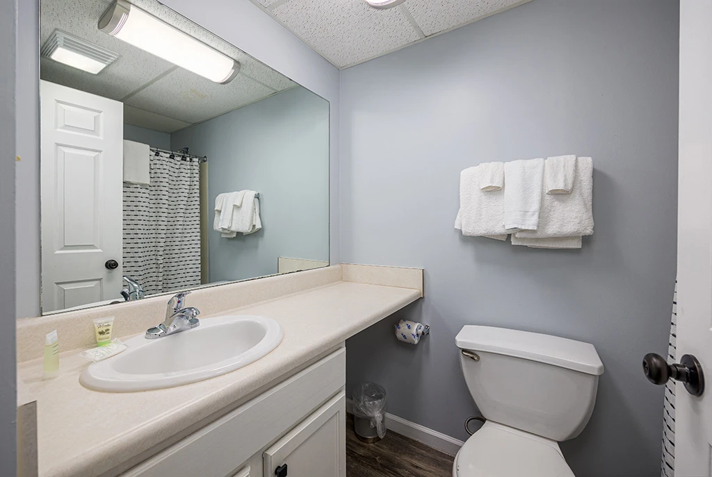 Bathroom 2 Bearfoot Lodge Gatlinburg.
