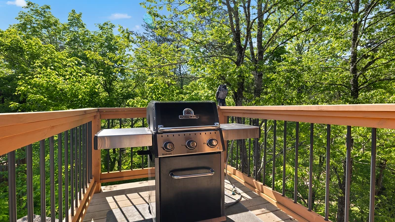 Large capacity outdoors gas grill. 