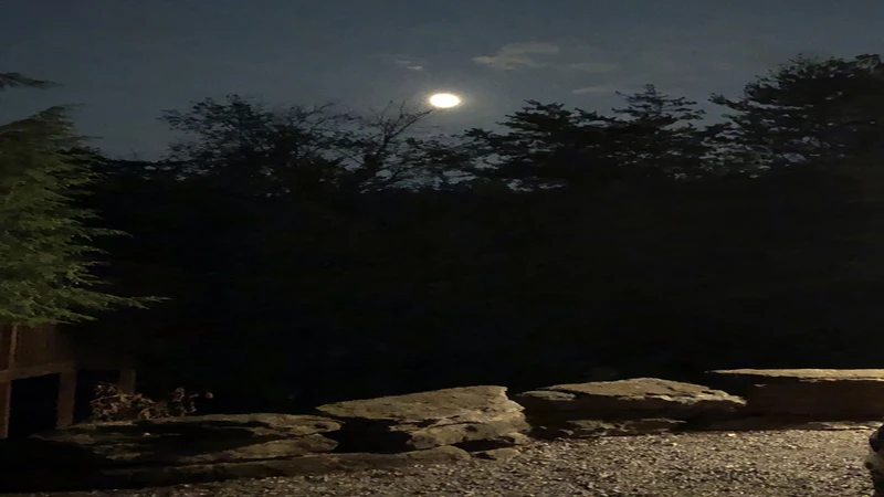 Enjoy Smoky Mountains nighttime nature around your cabin getaway in the Tennessee Smoky Mountains.