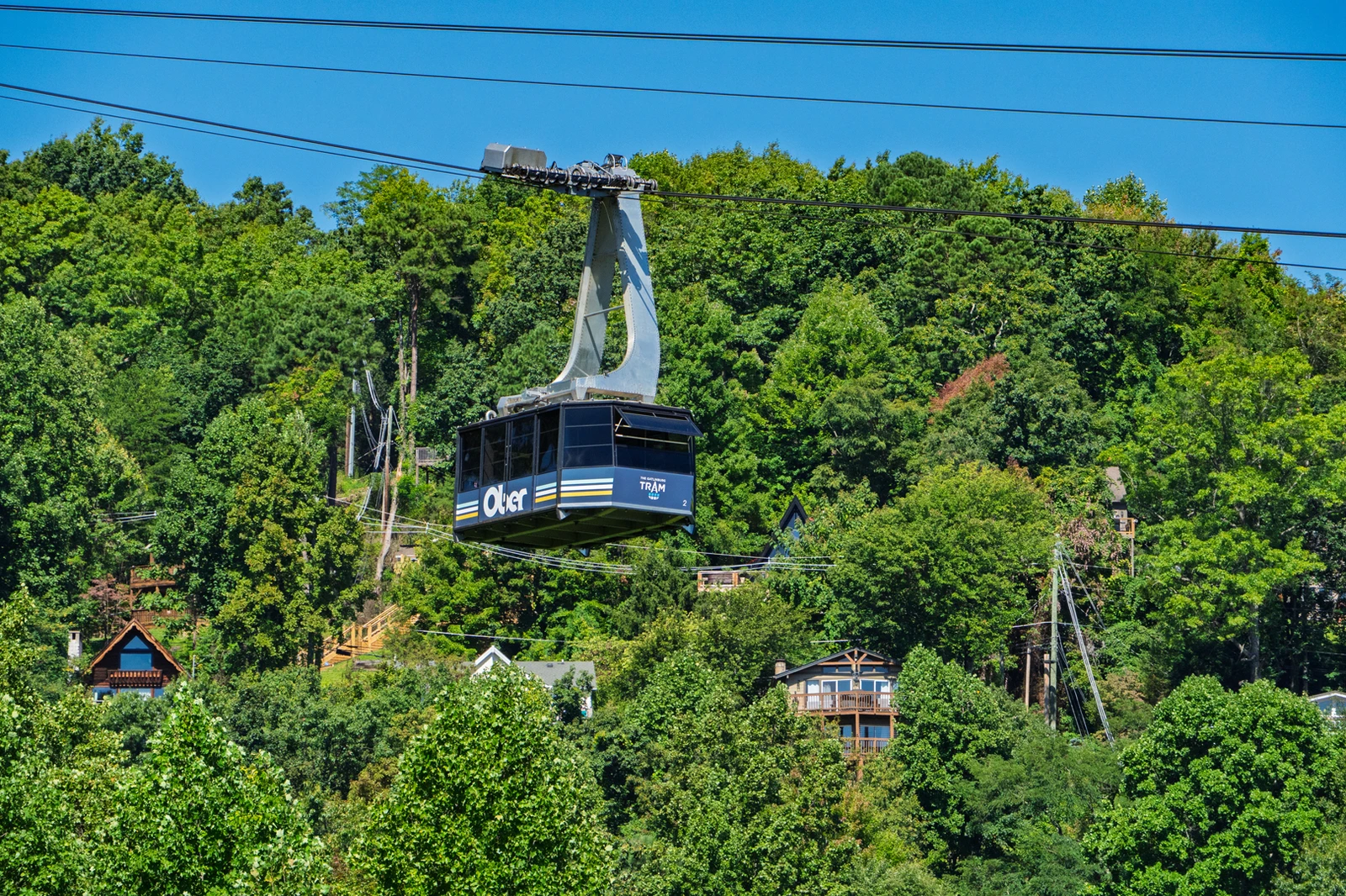 A Tram View