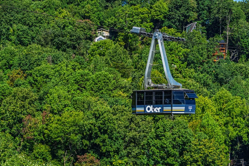 A Tram View