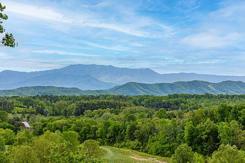 Early Smoky Mountains mist as seen from your front porch at Mountain View cabin.