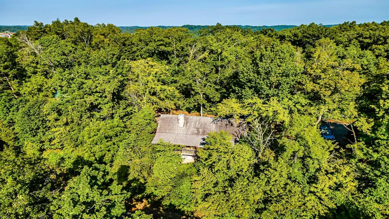 See your cabin in the Smokies from above.