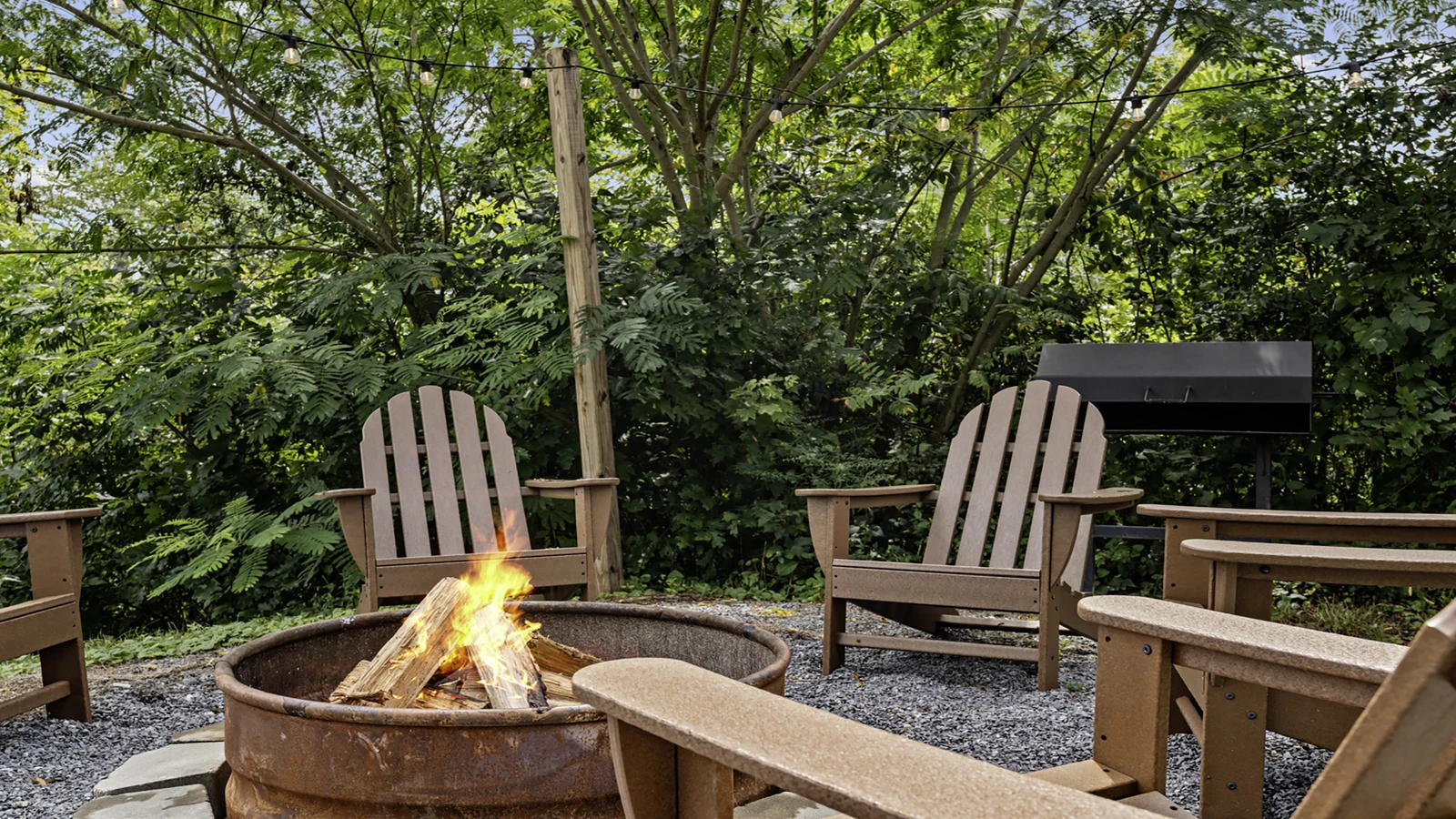 Firefly Bluff
