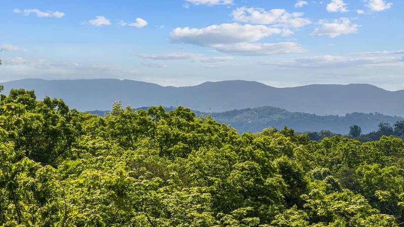 Views from your Smoky Mountains cabin rental Royce's Retreat.