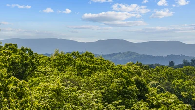 Views from your Smoky Mountains cabin rental Royce's Retreat.
