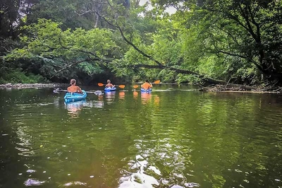 Kayaking down the Little Pigeon River by River Waltz Cottage.