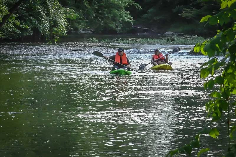 Enjoying a relaxing kayak trip on the Little Pigeon river.