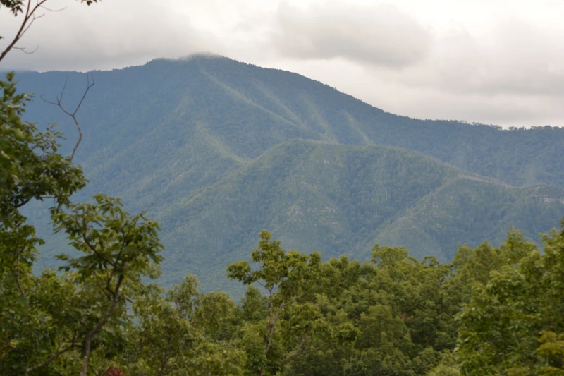 Wonderful view of the Smoky Mountains from your cabin in the Smokies.