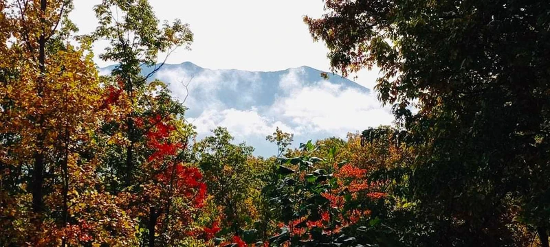 Autumn view from your Smokies cabin.