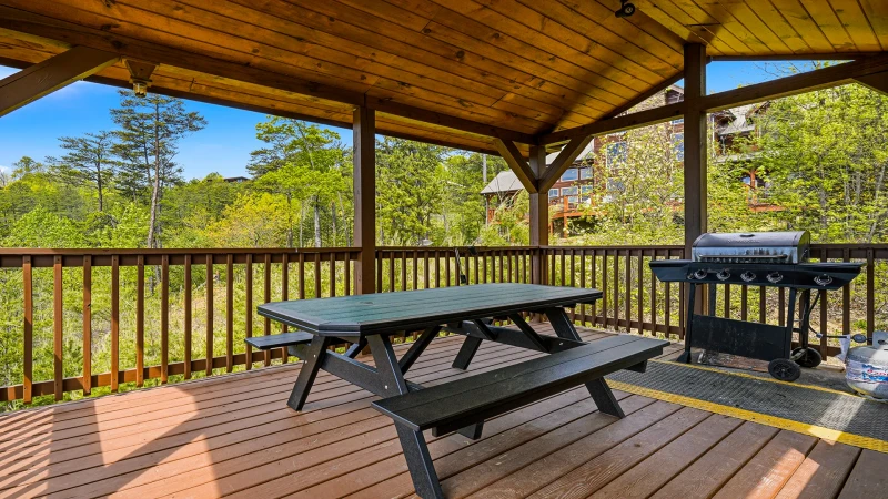 Gas grill at your cabin in the Smoky Mountains.