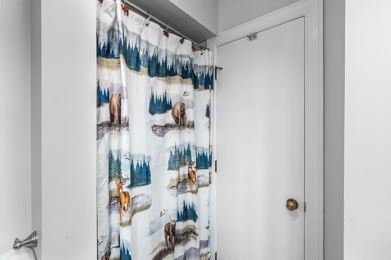 Your condo's shower.
