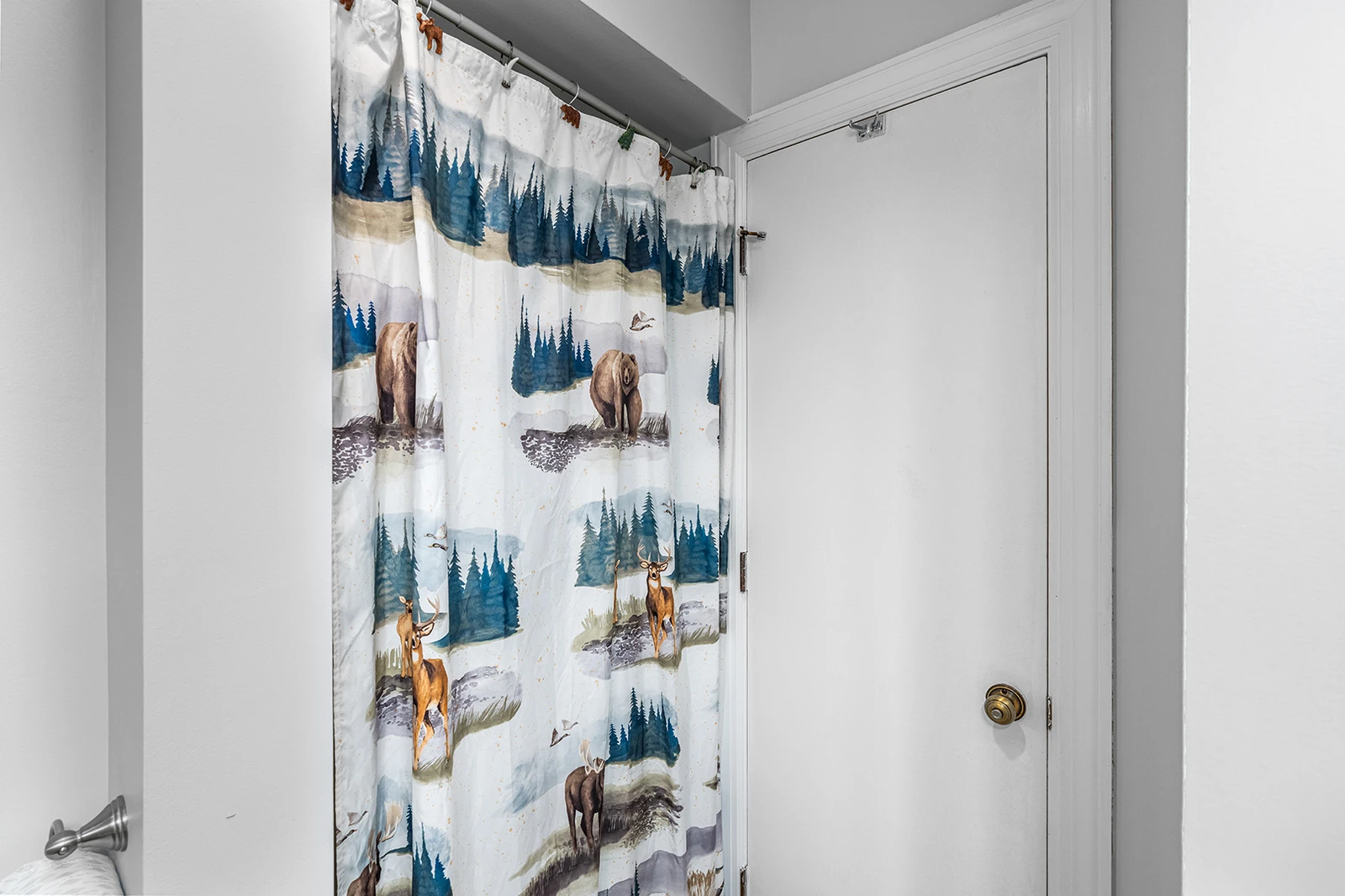Your condo's shower.