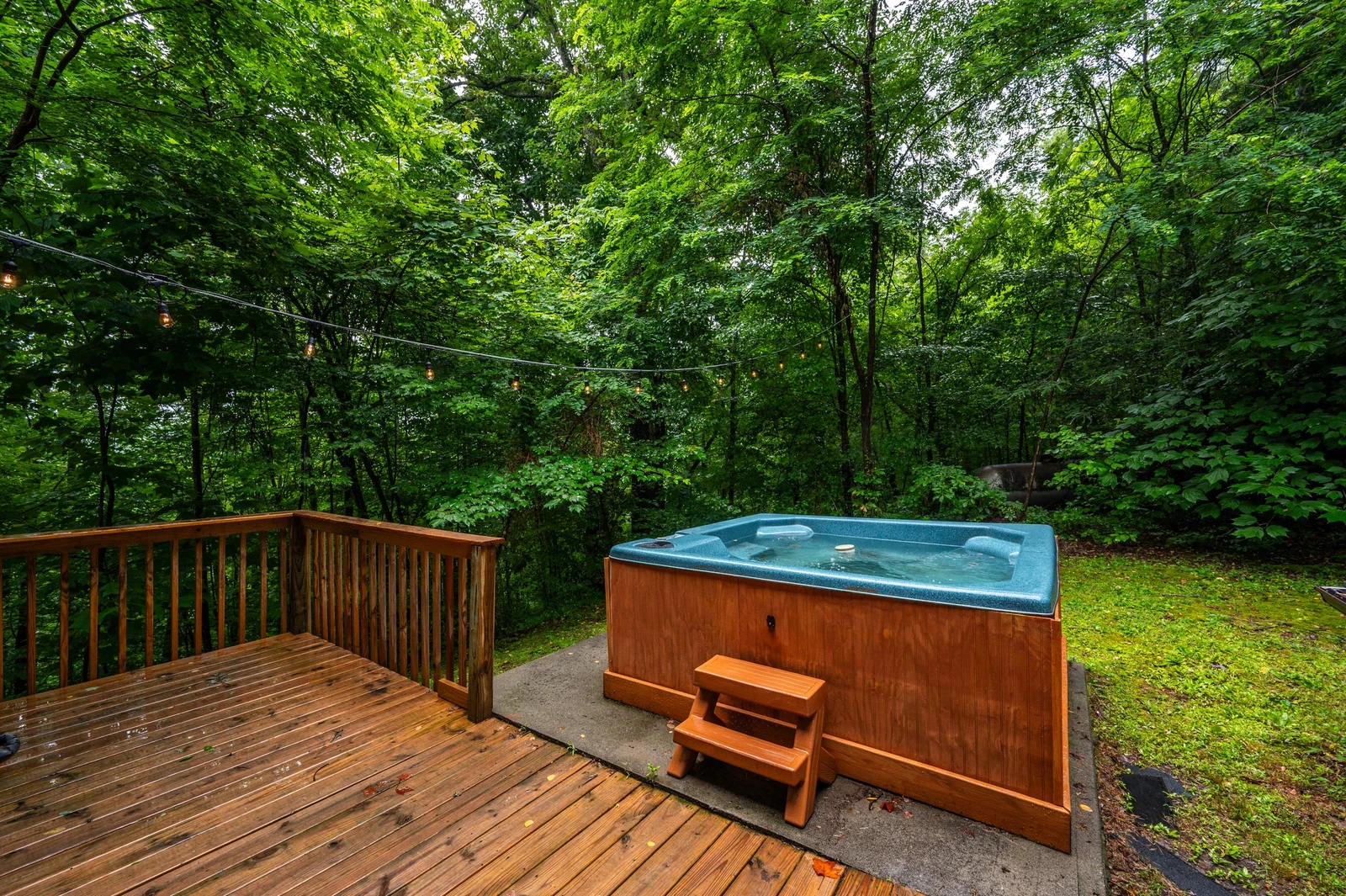 Sugar Bear Cabin