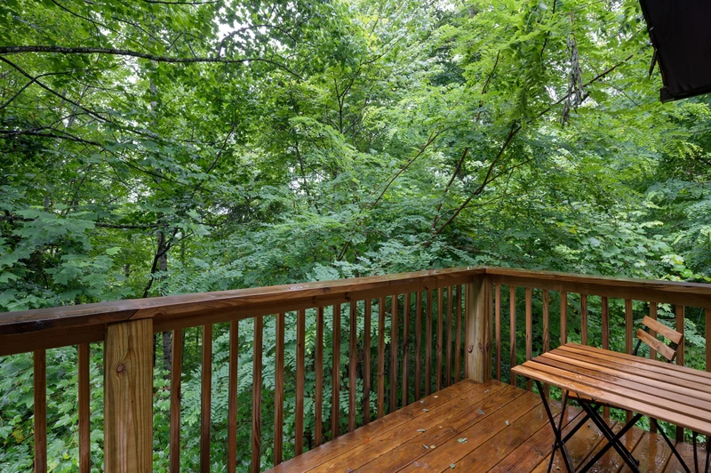 Sugar Bear Cabin