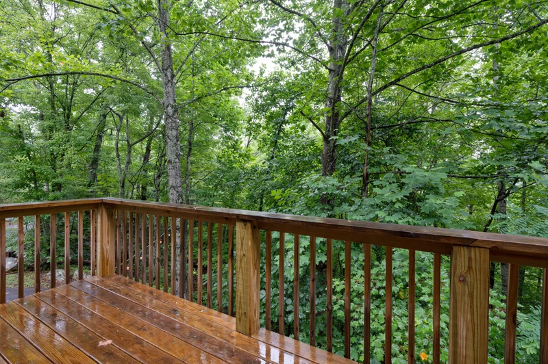 Sugar Bear Cabin