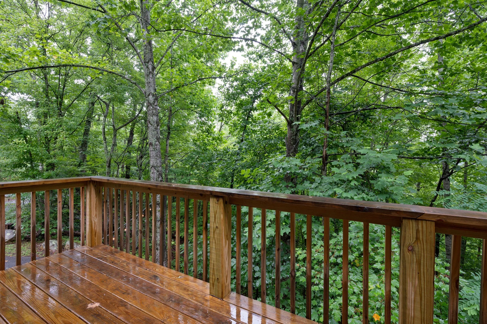 Sugar Bear Cabin