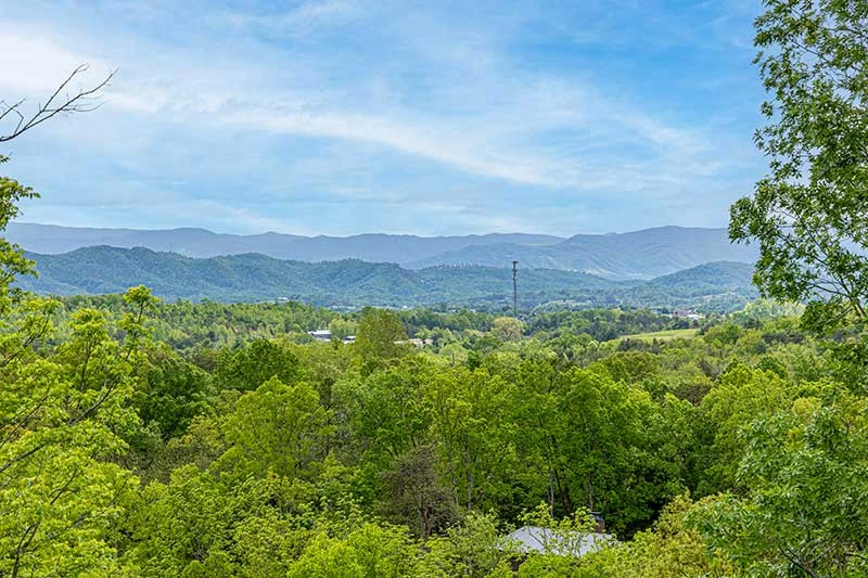Rise to early morning views of the Smokies.