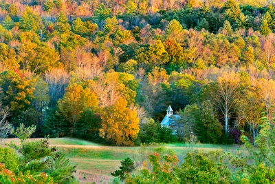 fall foliage makes the Smokies one of the best places to vacation in Tennessee