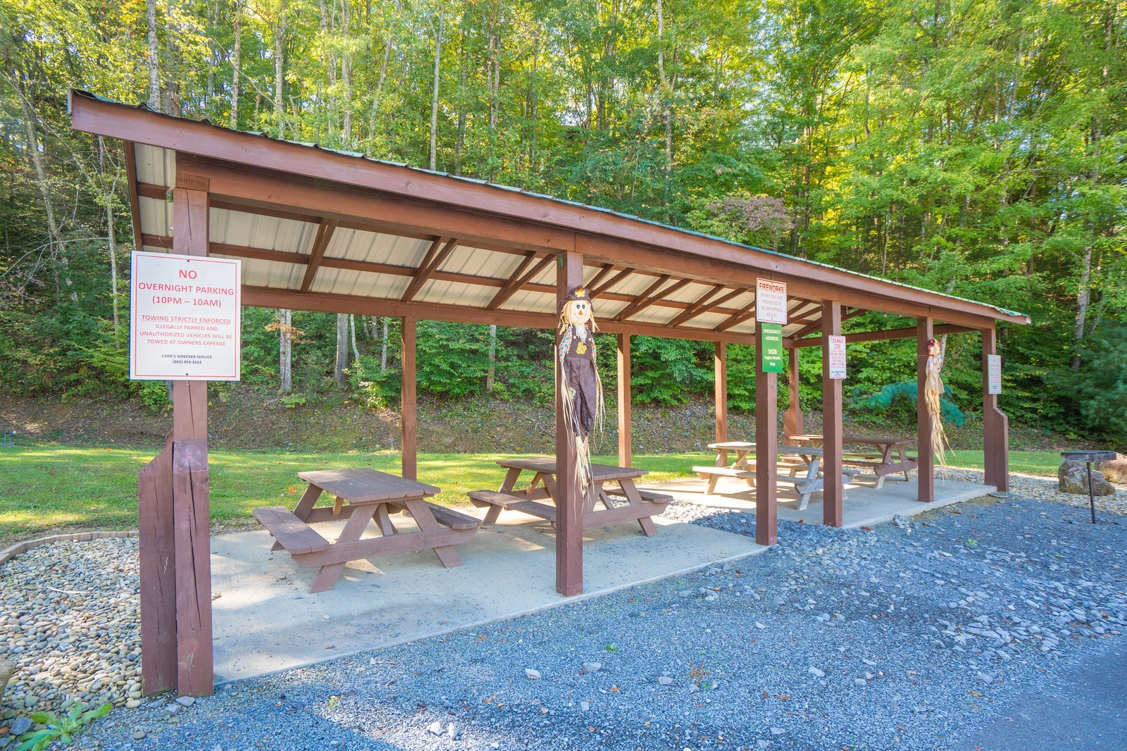 Dancing Bears Den
