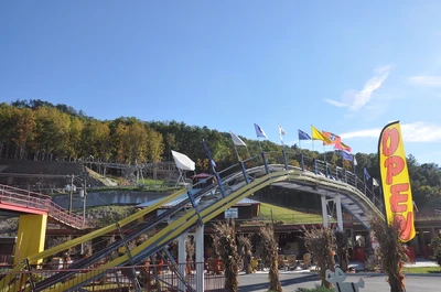 Goat Coaster at Goats on the Roof in Pigeon Forge TN