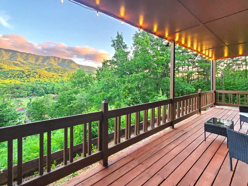 View from the covered deck in the summer