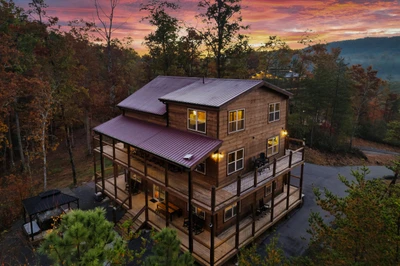 Stay Wild Cabin