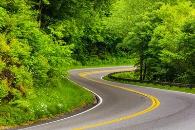 newfound gap road near LeConte Lodge
