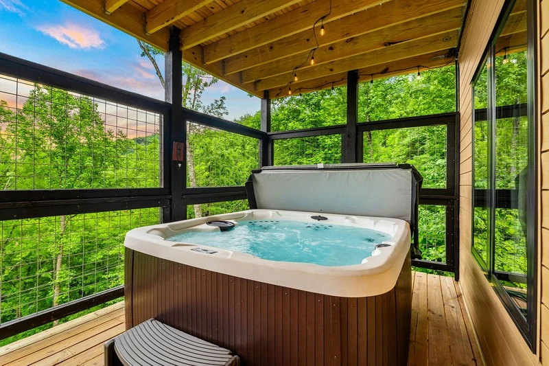 Lonesome Bear Lodge