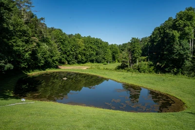 70 Acre Mountain Farmstead