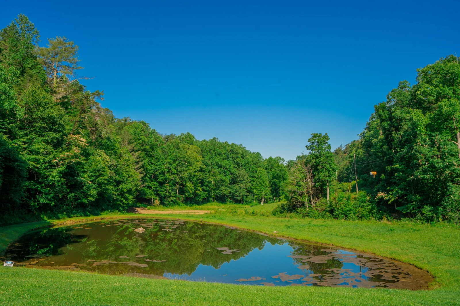 70 Acre Mountain Farmstead