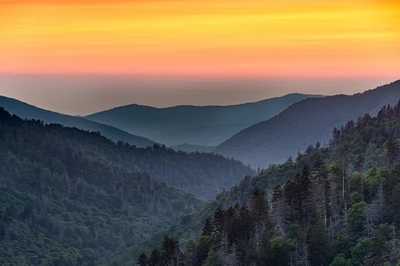 newfound gap in great smoky mountains national park