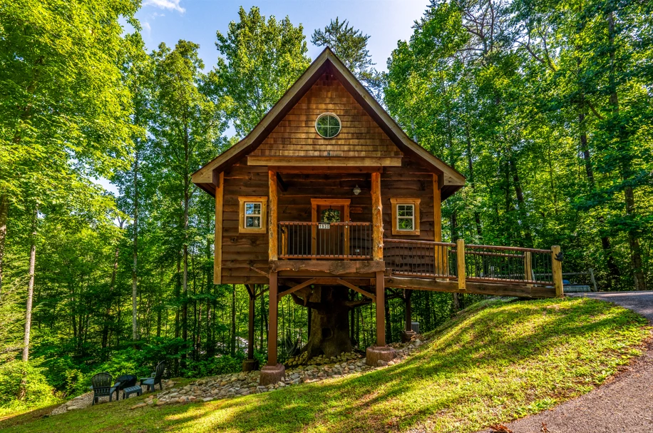 Escape the ordinary.  Welcome to your private treehouse retreat in the Smoky Mountains.