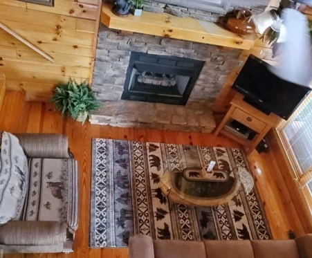 The Cats' Lair