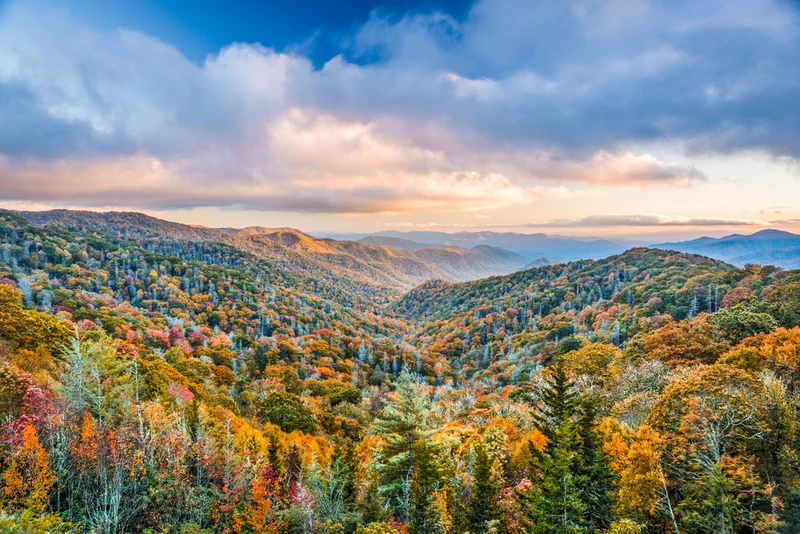 Smoky Mountains fall foliage