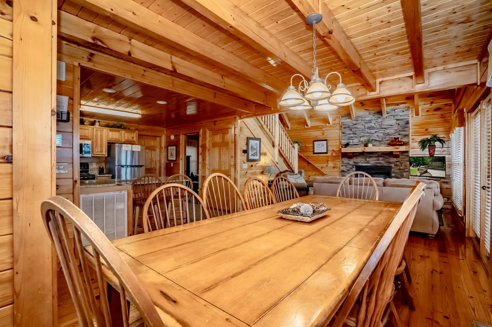 The Cats' Lair