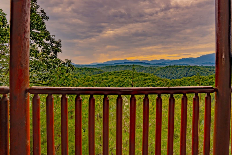 The Cats' Lair