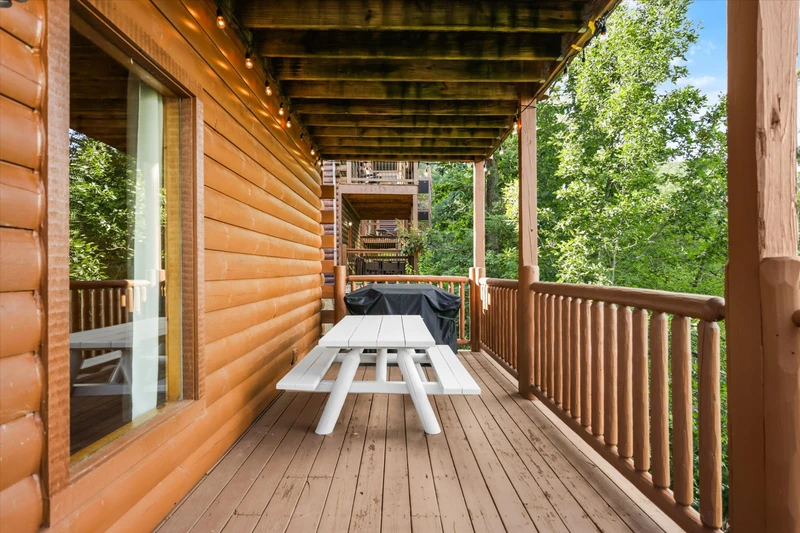 Outdoor Dining Area and Gas Grill