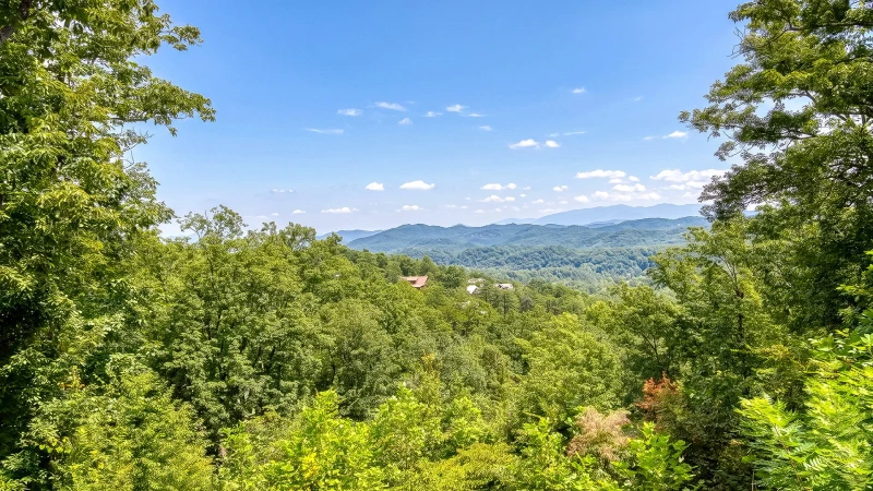 The Appalachian