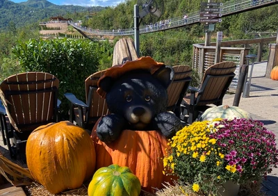 bear in pumpkin fall decoration at Gatlinburg SkyPark