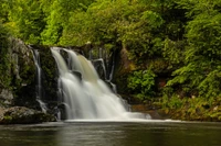 abrams falls on abrams falls trail