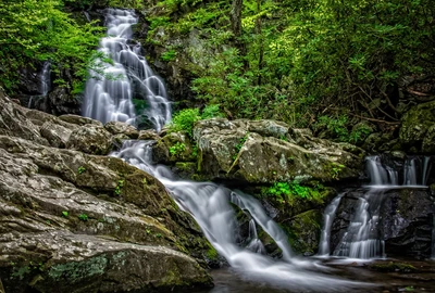 spruce flats falls is one of the best hiking trails in the smokies