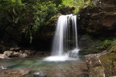 grotto falls is one of the best hiking trails in the smokies