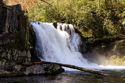 abrams falls is one of the best hiking trails in the smokies