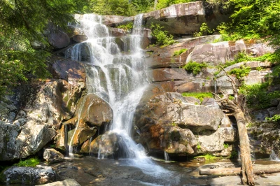 ramsey cascades is one of the best hiking trails in the smokies