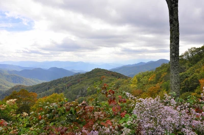 the Smoky Mountains in September