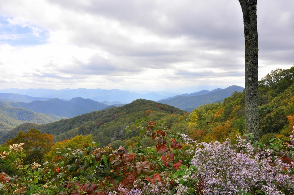 the Smoky Mountains in September