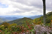 the Smoky Mountains in September
