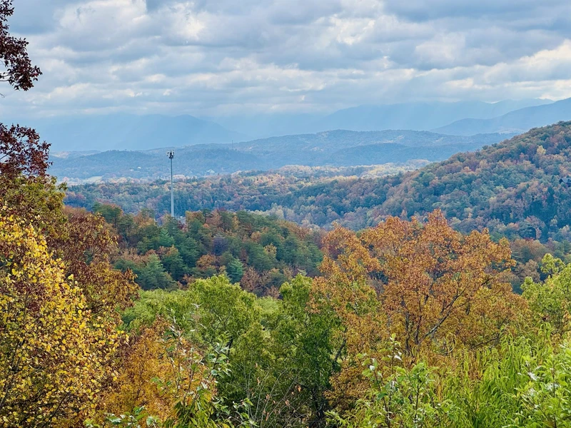 Fall Family Room View