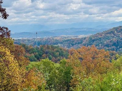 Fall Family Room View